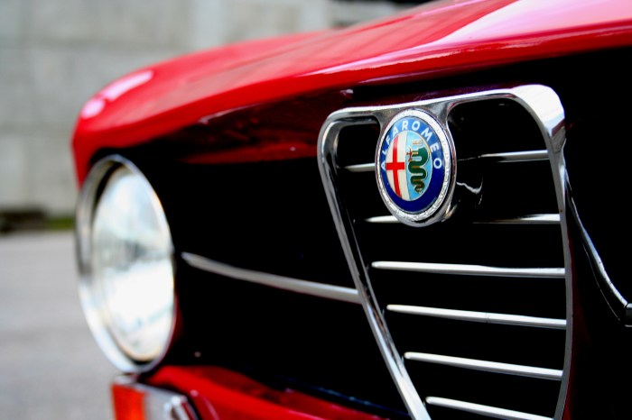 Alfa 1